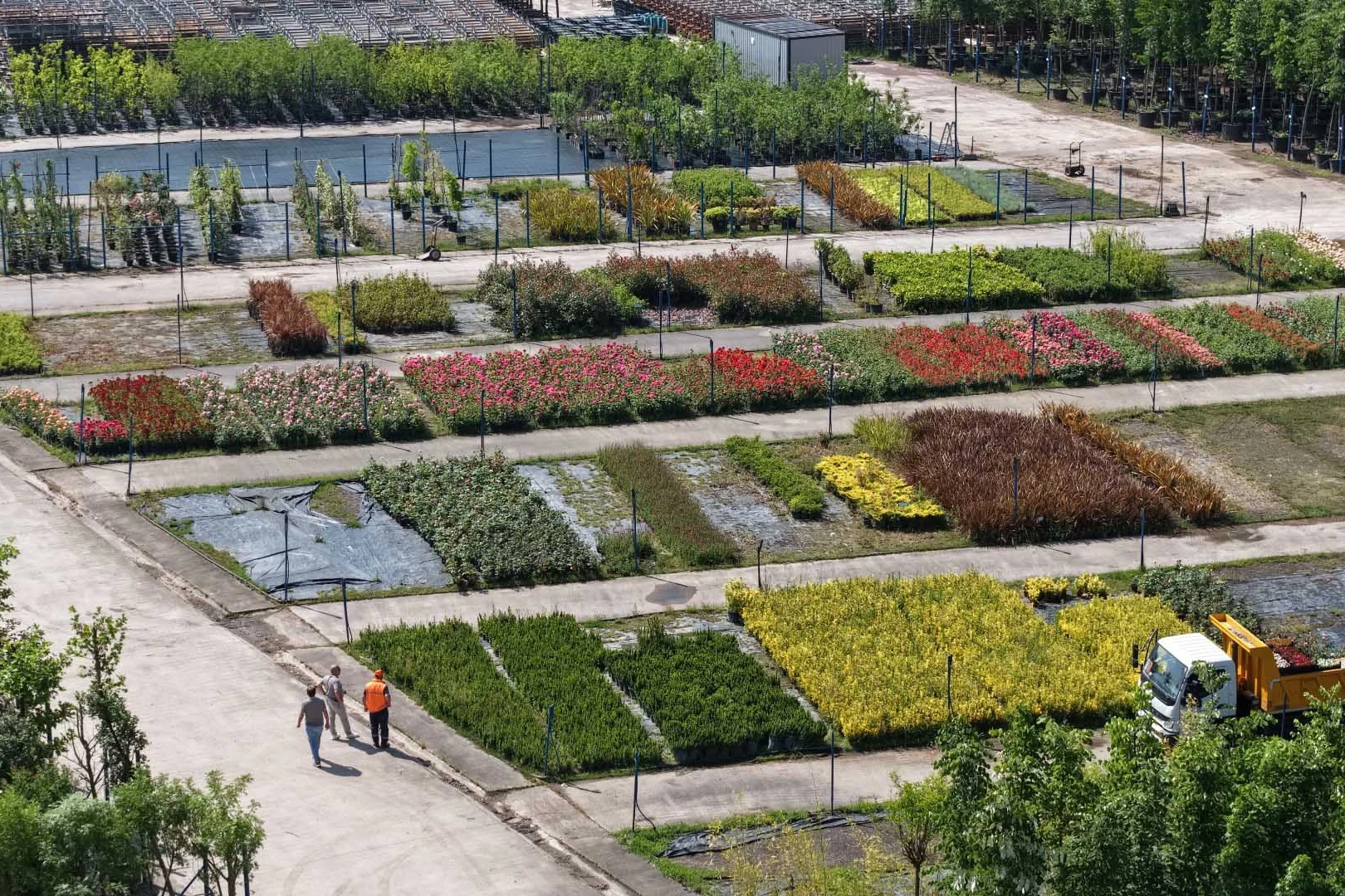 Kocaeli’yi yeşillendiren fidanlık