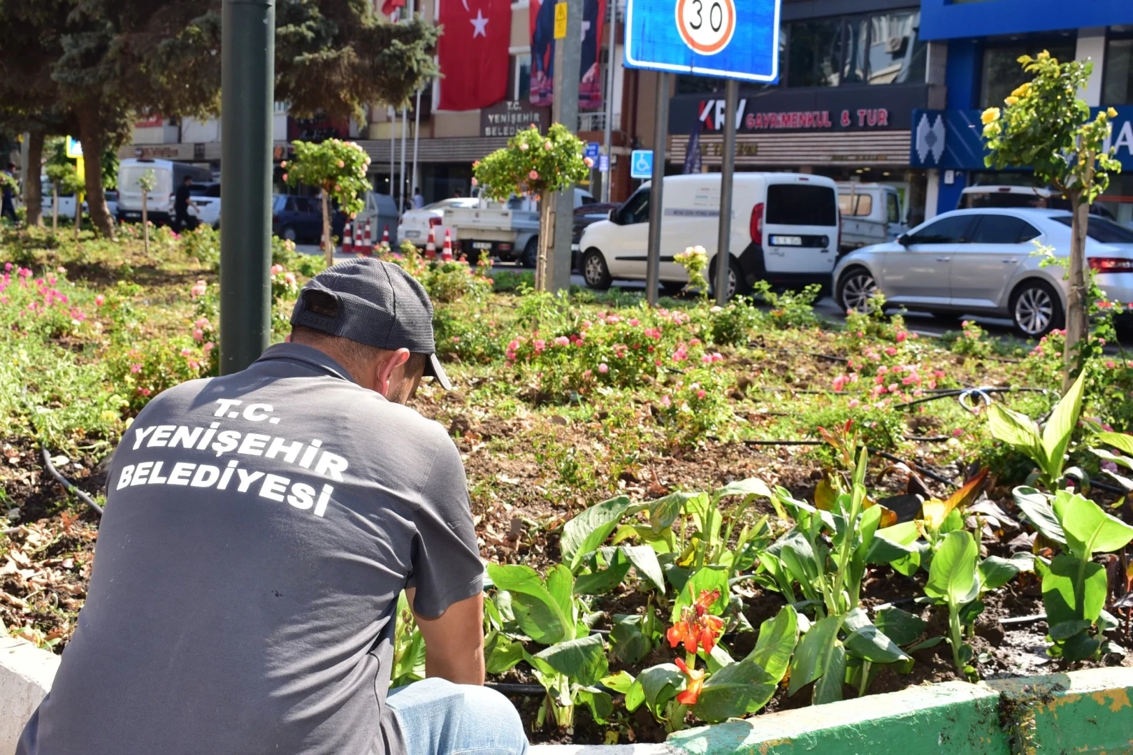 Bursa Yenişehir