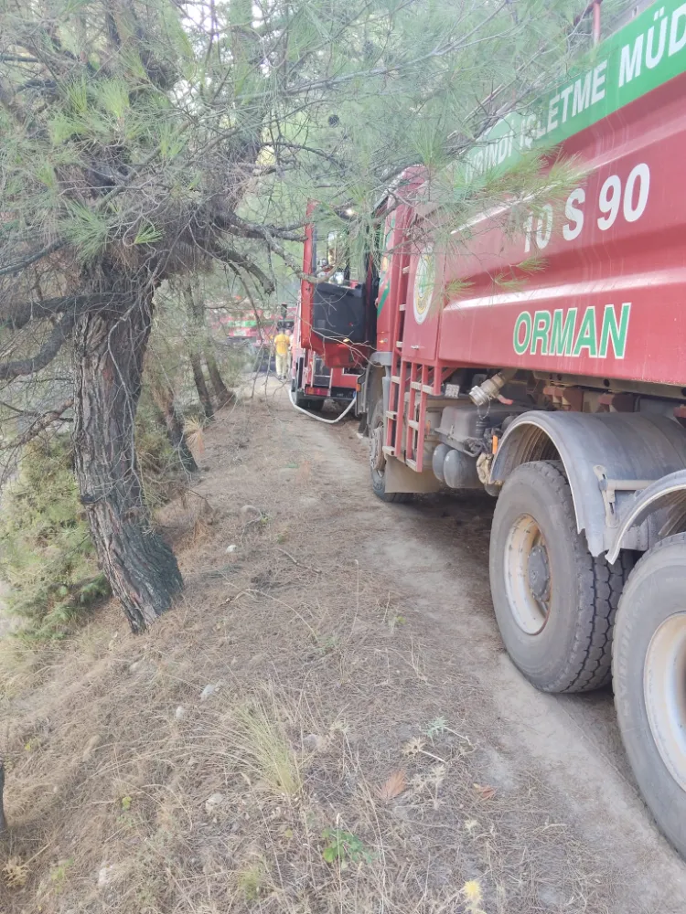 İvrindi’deki Orman Yangını Kısa Sürede Söndürüldü